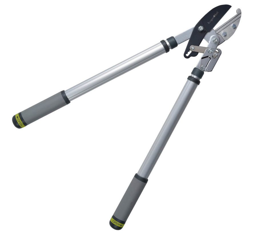 Telescopische Ratel takkenschaar - RHS
