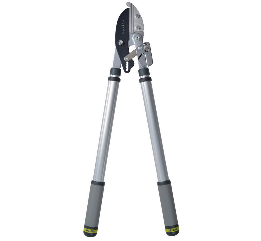 Telescopische Ratel takkenschaar - RHS