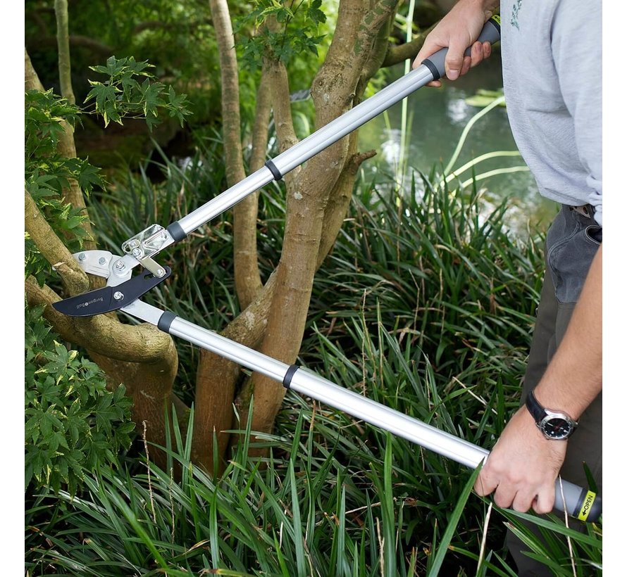 Telescopische Ratel takkenschaar - RHS