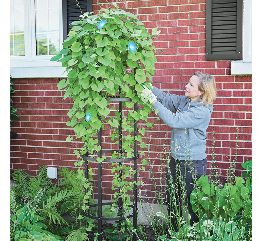 beschermen heks gisteren Obelisk | Rond | 2 meter kopen? - Tuinartikelen.nu