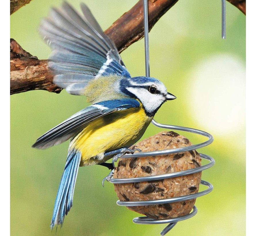 Vogel vetbolhouder - 2 stuks