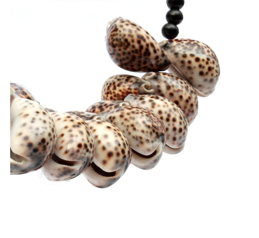 Tiger Cowrie Necklace op Stand
