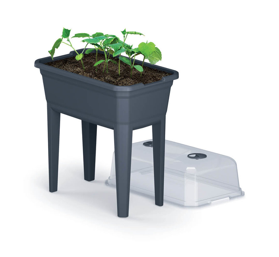 Kweekbak op poten - 60 x 75 cm - Antraciet