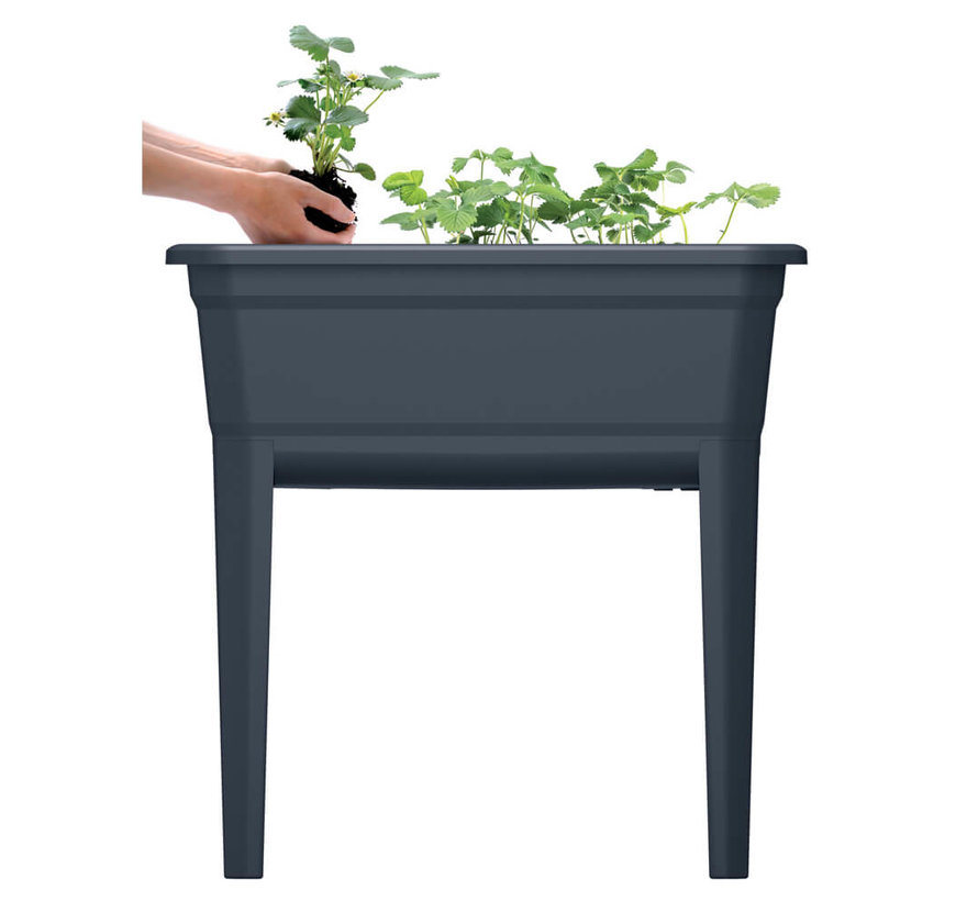 Kweekbak op poten - 60 x 75 cm - Antraciet