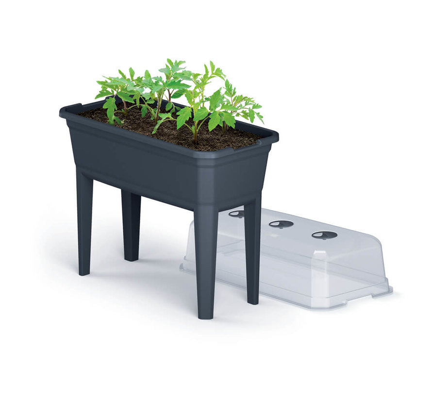 Kweekbak op poten - 75 x 77 cm - Antraciet