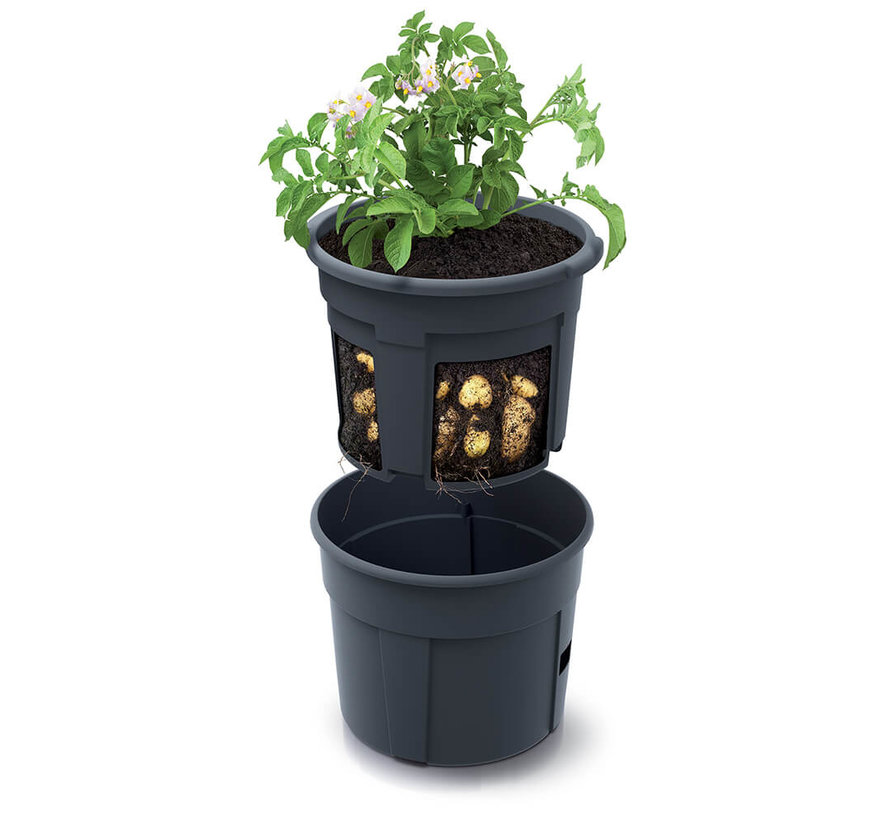 Aardappel kweekpot  - ø 39 cm