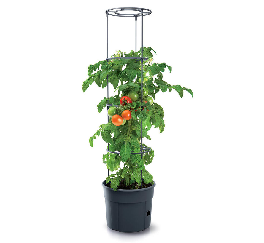 Tomaten pot met steun - ø 39 cm