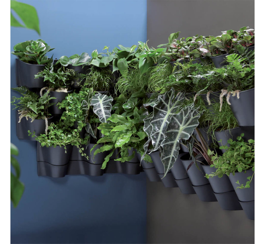 Bloempot set - Verticaal - Cascade 12x - Wall