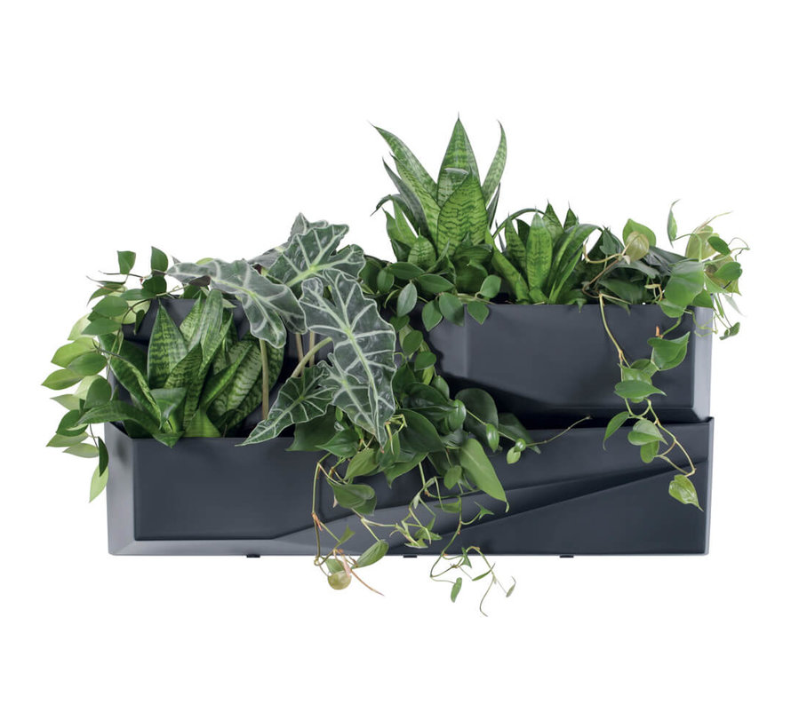 Plantenbak set - Verticaal - Cascade - Wall