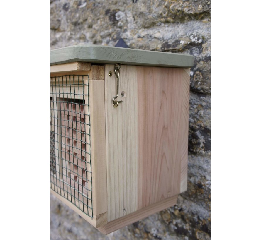 Bijenkorf Solitaire Bijen - Conservative