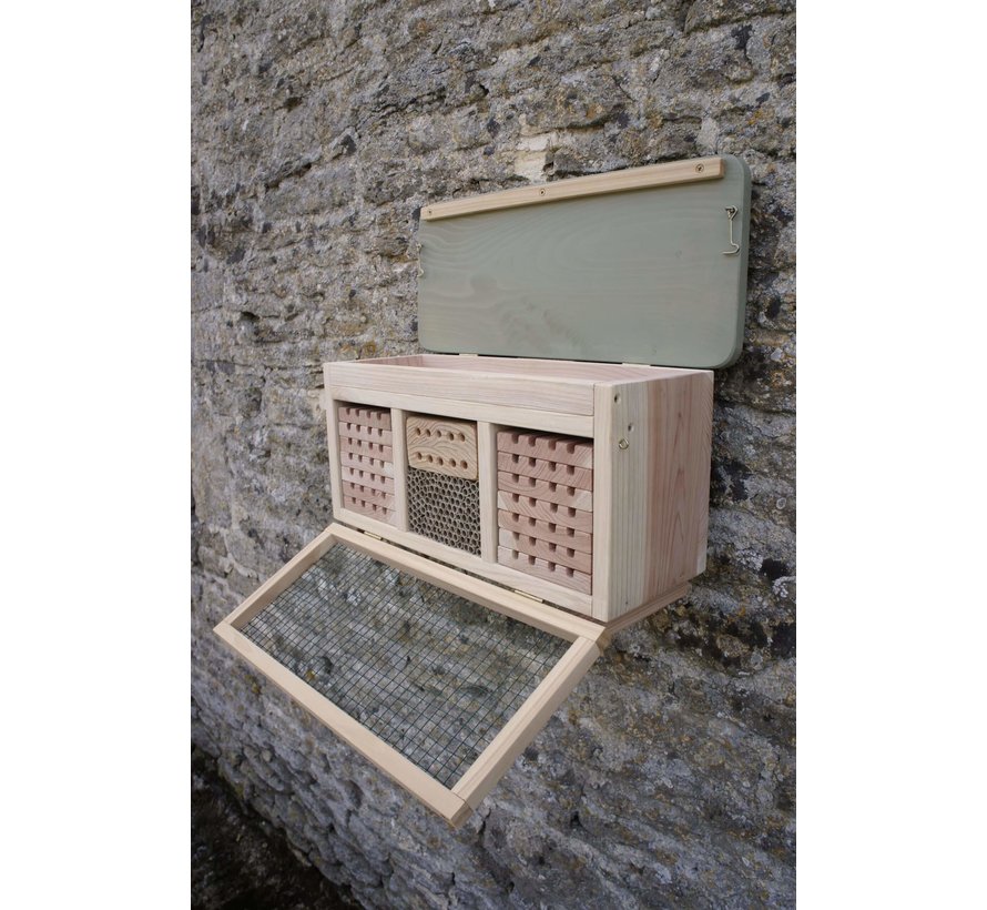 Bijenkorf Solitaire Bijen - Conservative