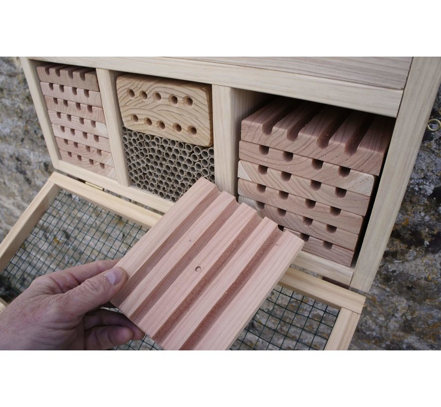 Bijenkorf Solitaire Bijen - Conservative