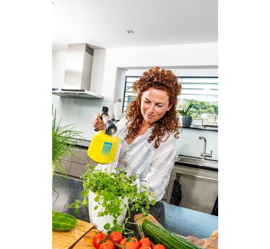 Gloria Accu Handsproeier - Hydronette