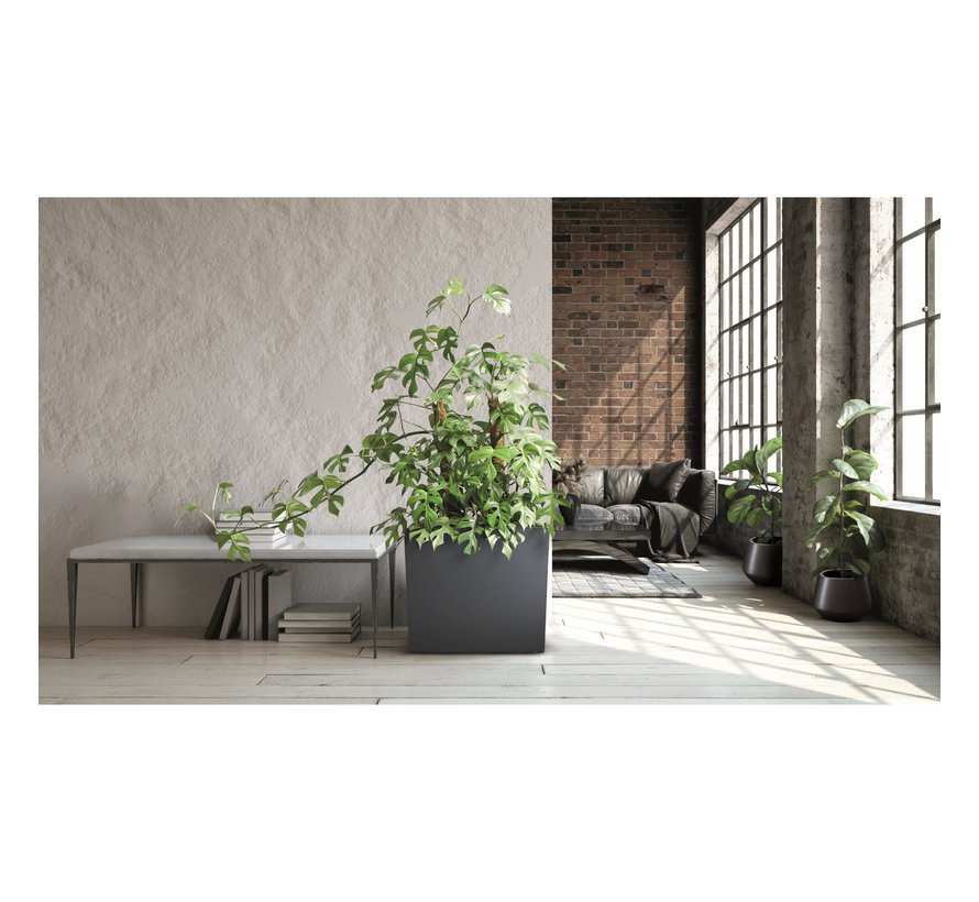 Plantbak Urbi Case - 58 x 50 cm