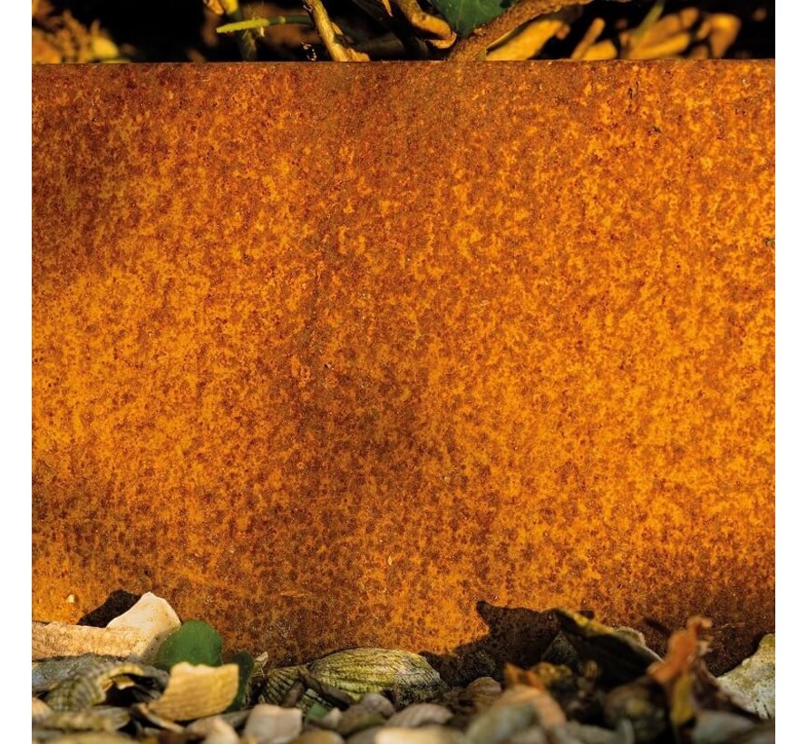 Graskant Cortenstaal - 118 x 13 cm