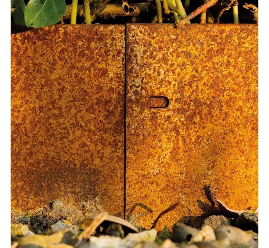 Graskant Cortenstaal - 118 x 20 cm