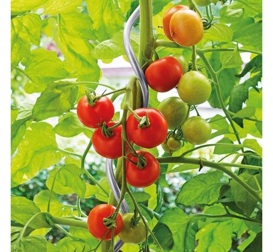 Tomatenspiraal - ø 6 mm x 180 cm 10 stuks
