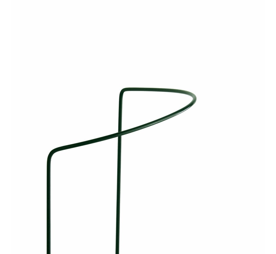 Plantensteun Halfrond - 100 x 40 cm