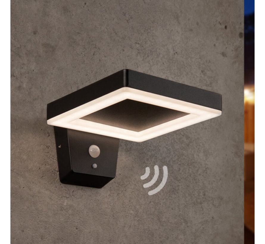Solar wandlamp Pablo met sensor