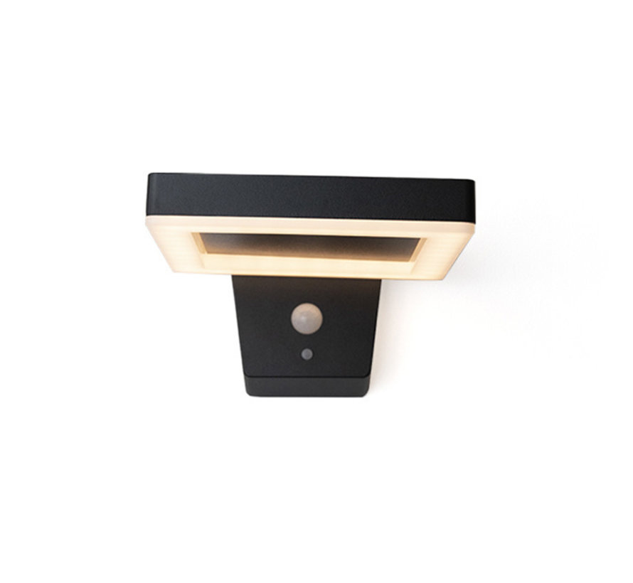 Solar wandlamp Pablo met sensor