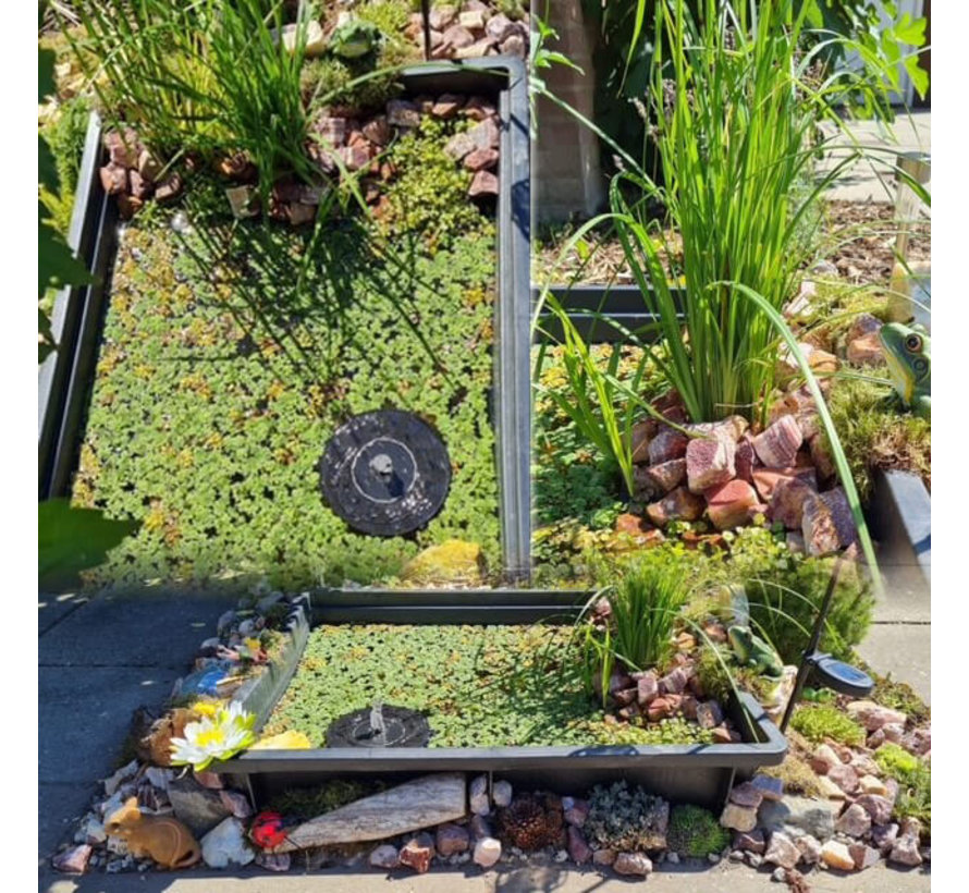 Rechthoek kuip 150 liter - 80 x 63 x 38 cm