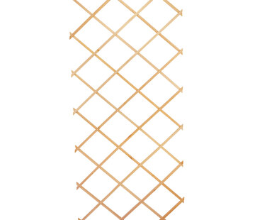 Bellissa Houten Trellis - Klimrek - 310 x 90 cm