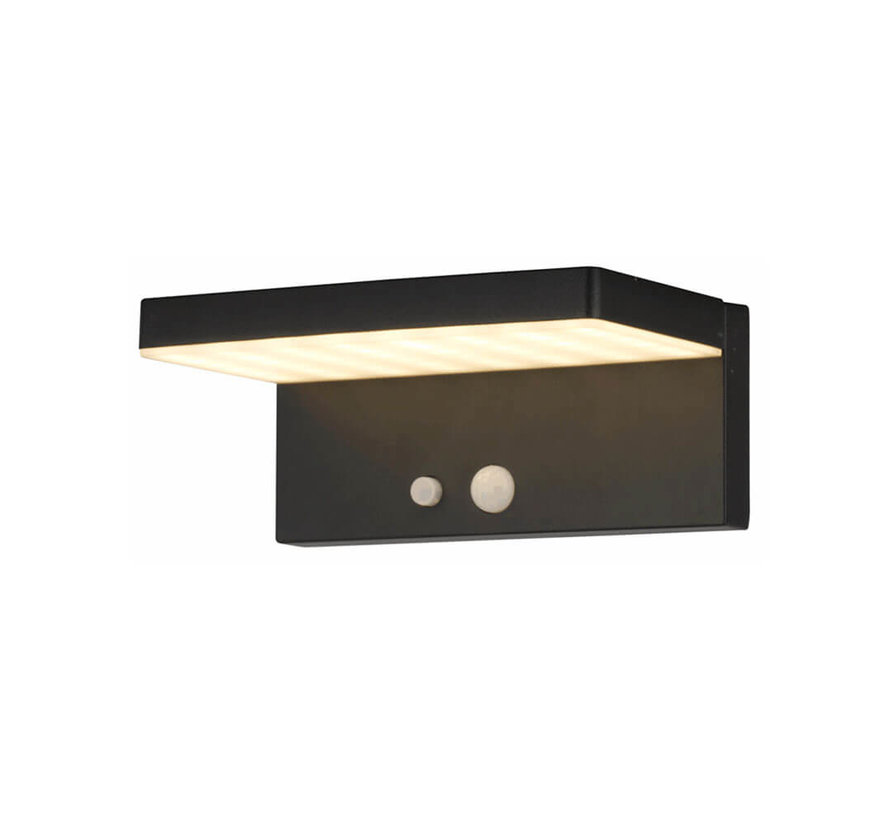 Solar buitenwandlamp Hendrick met sensor