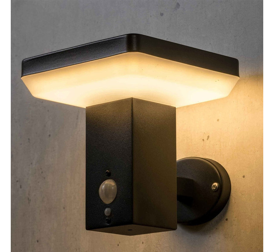 Solar buitenwandlamp Aila met sensor