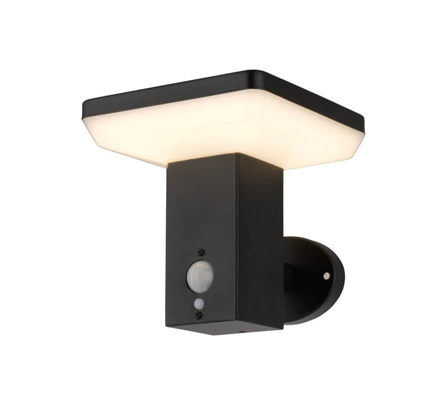 Solar buitenwandlamp Aila met sensor