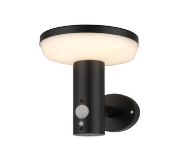 LumenXL Solar buitenwandlamp Dimmy met sensor