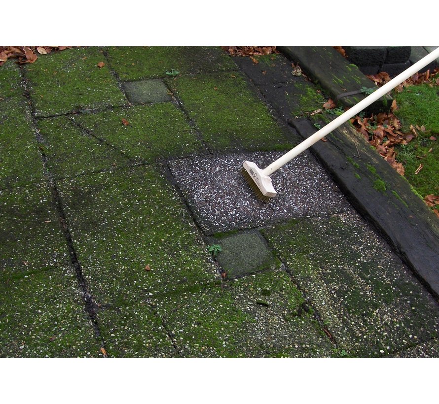 Tegelborstel met steel - Vermessingd staal