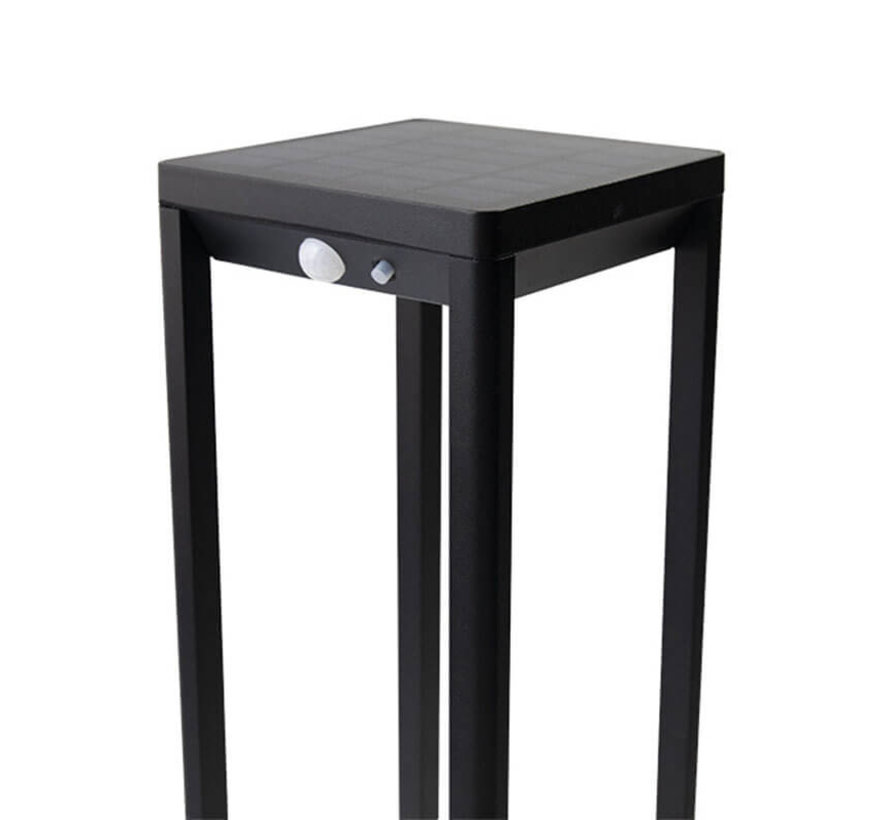 Solar buitenlamp Marcello met sensor - Staand