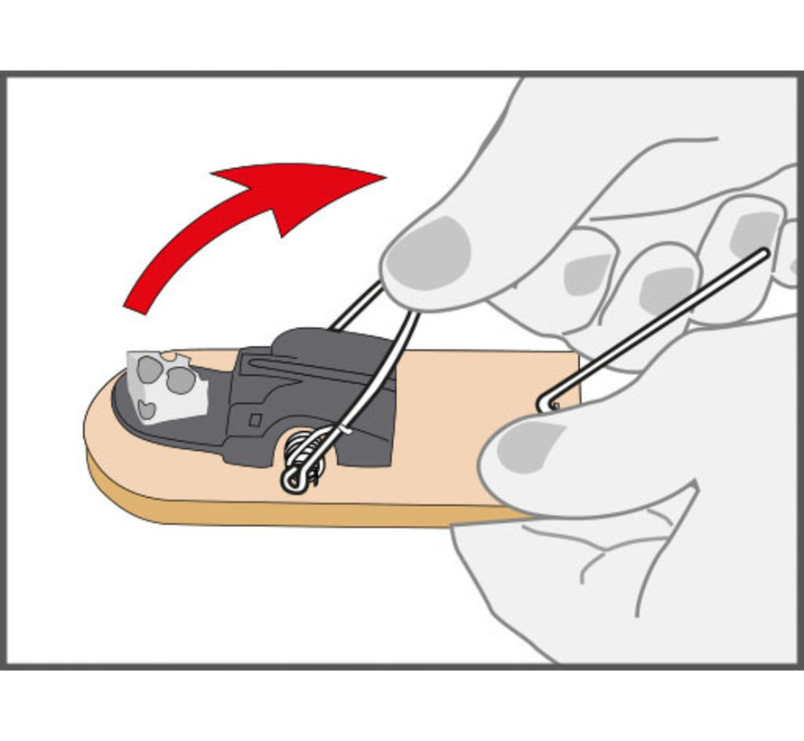 Muizenval hout - 2 stuks