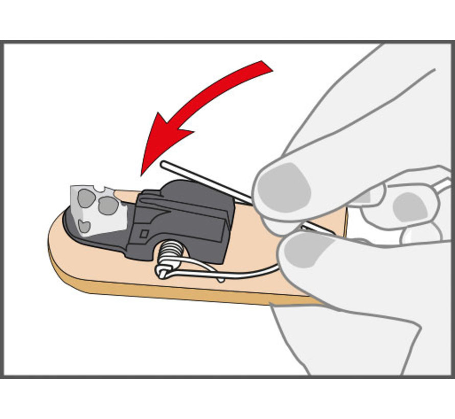 Muizenval hout - 2 stuks