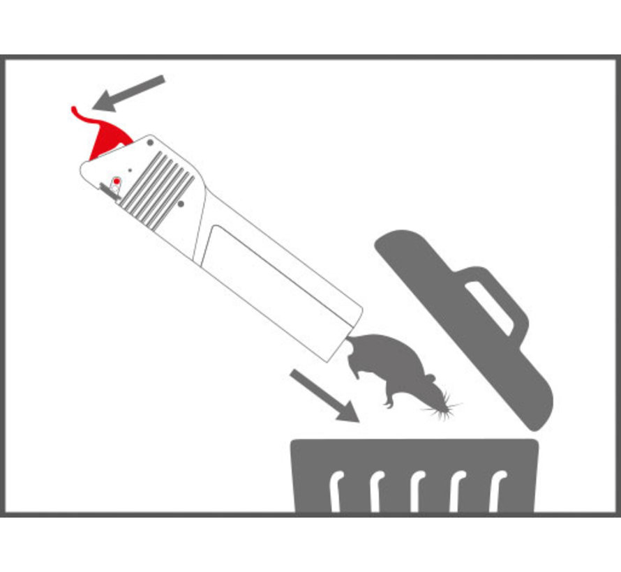 Muizenval - No See No Touch