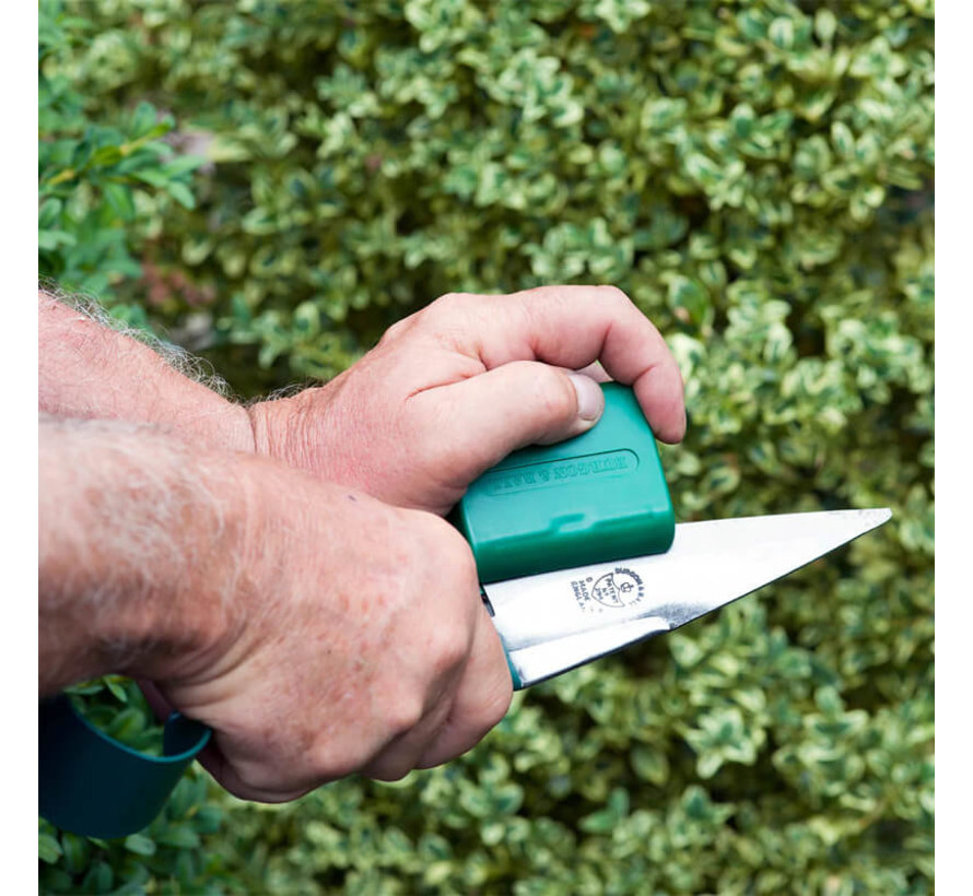 Buxusscharen slijper - Wetsteen