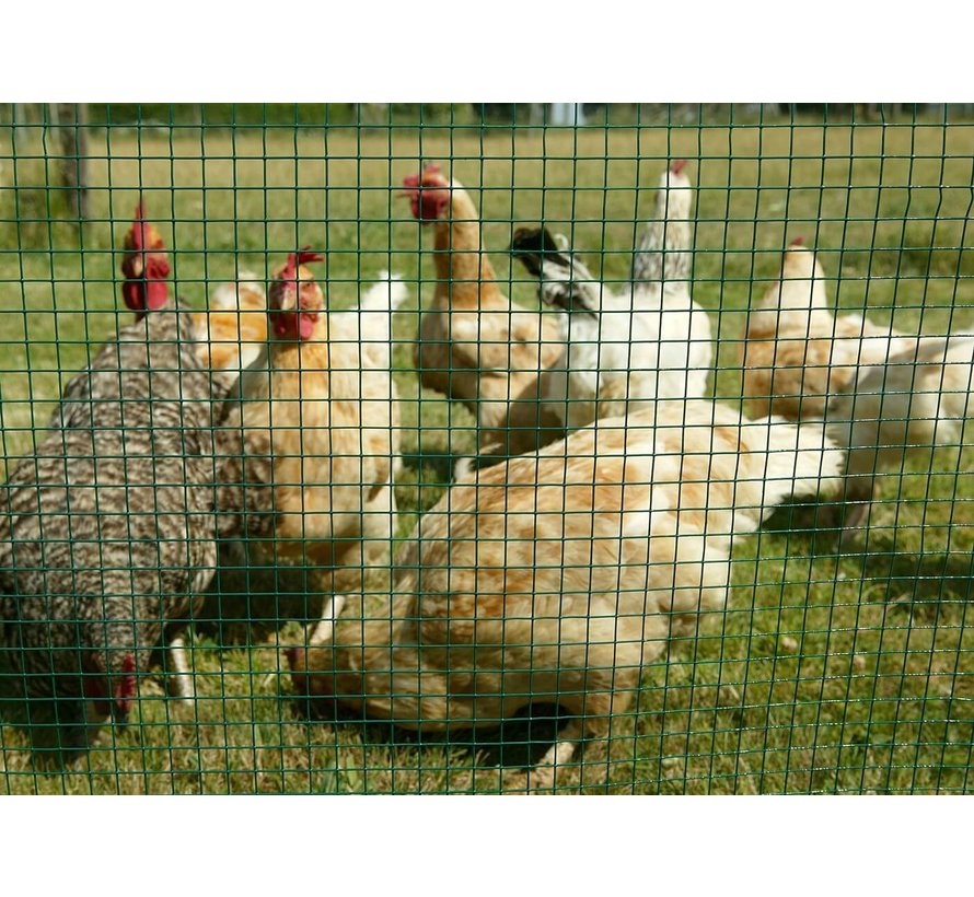 Aravis Volièregaas - Geplastificeerd