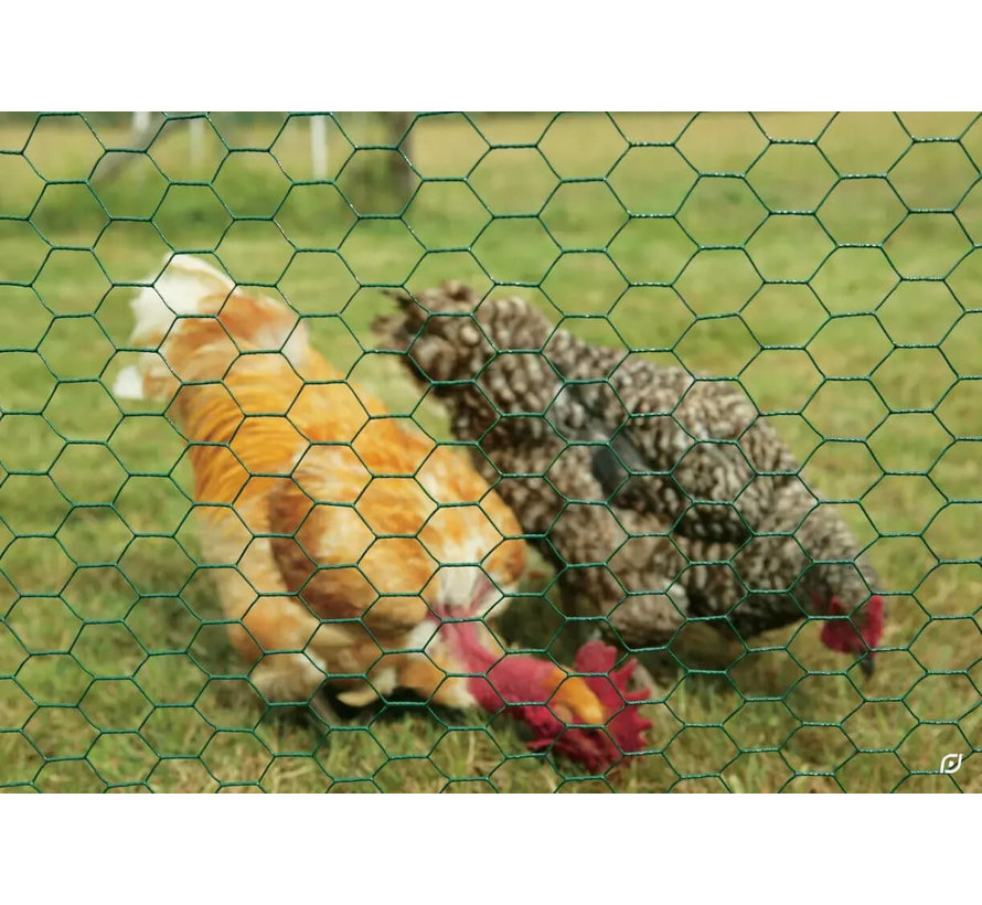 TTX Kippengaas - Gegalvaniseerd