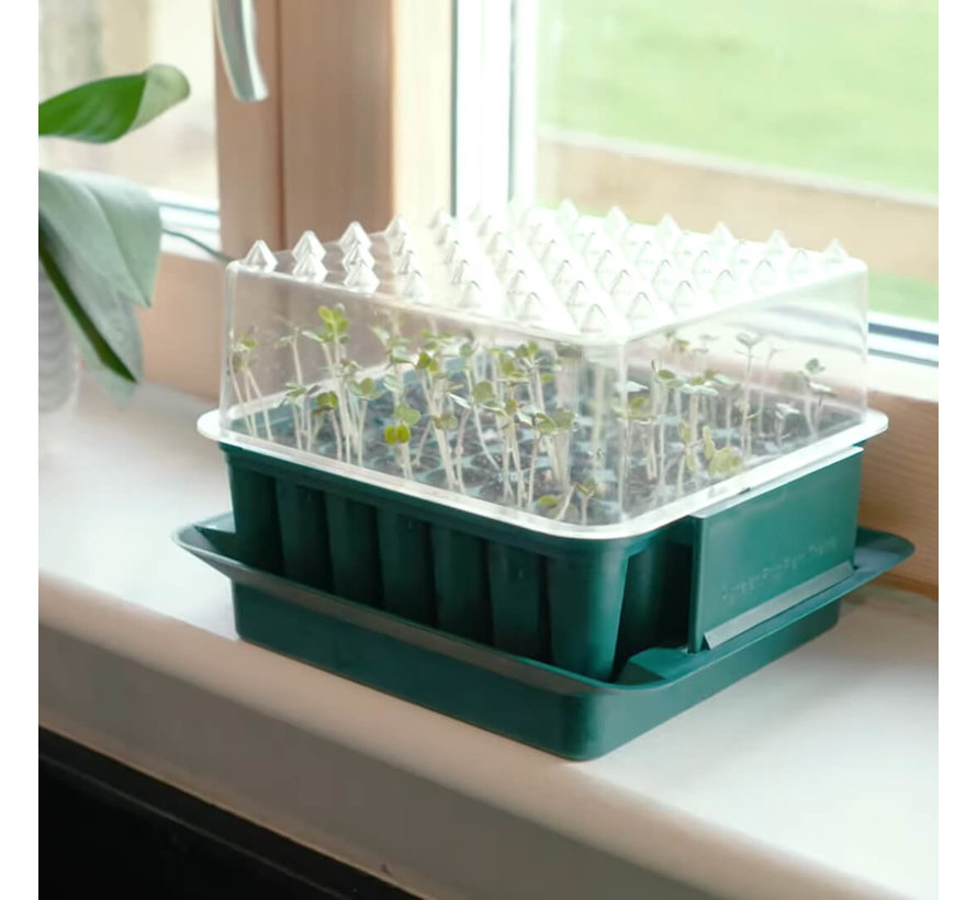 Zaaibakje Compact - 49 plantjes