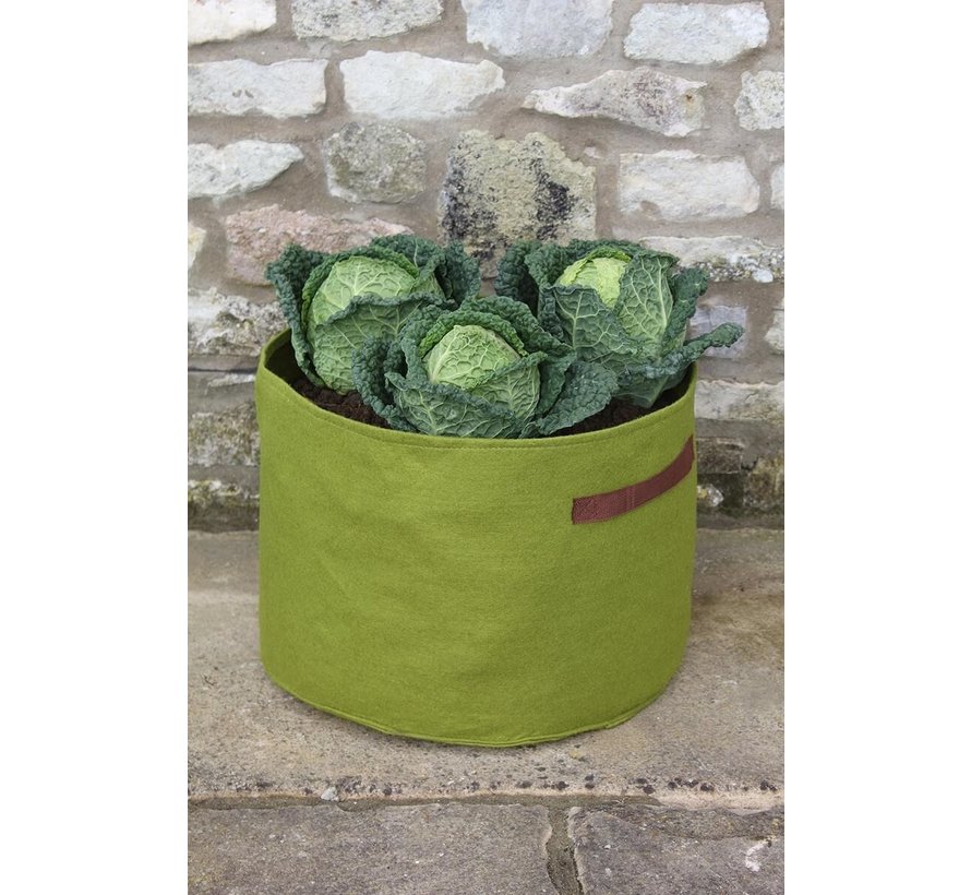 Plantenzak - Groen