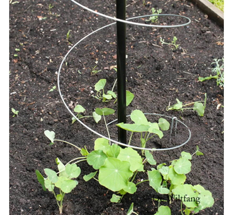 Plantensteunen - Klimspiraal - 3 stuks
