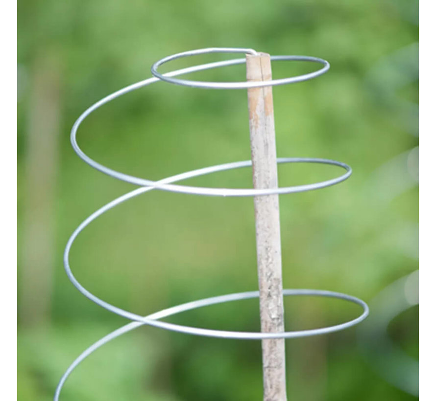 Plantensteunen - Klimspiraal - 3 stuks