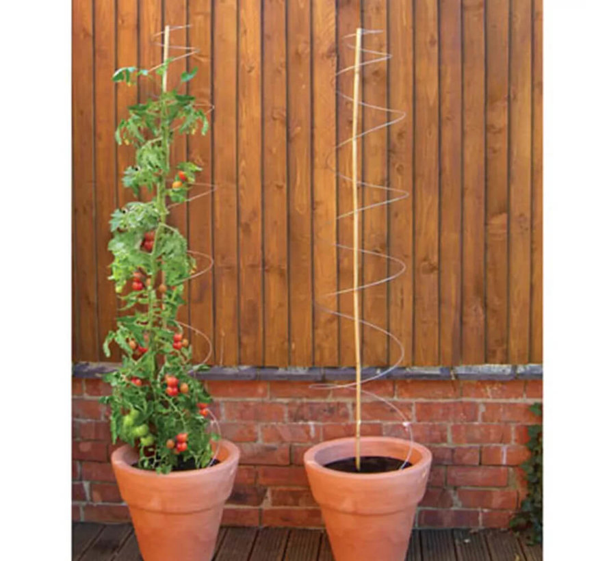 Plantensteunen - Klimspiraal - 3 stuks