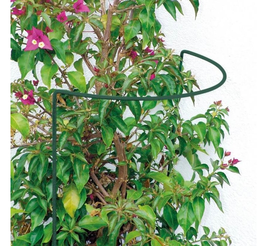 Plantensteunen - Halfrond - Set van 15 - Klein