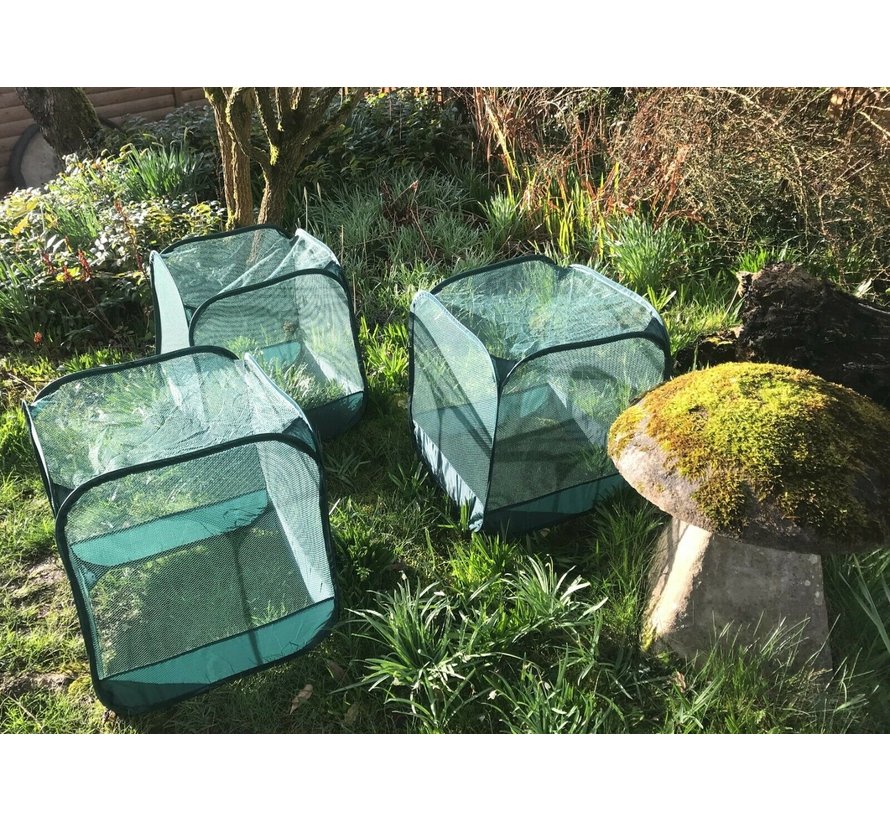 Pop up fruitkooi - 50 cm