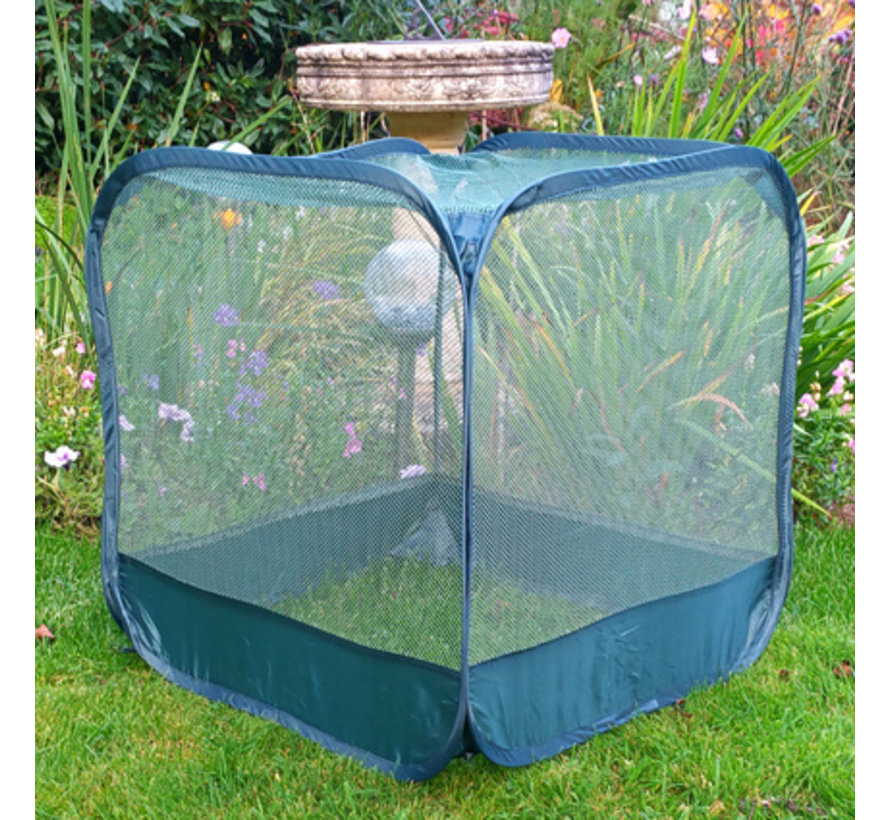 Pop up fruitkooi - 50 cm