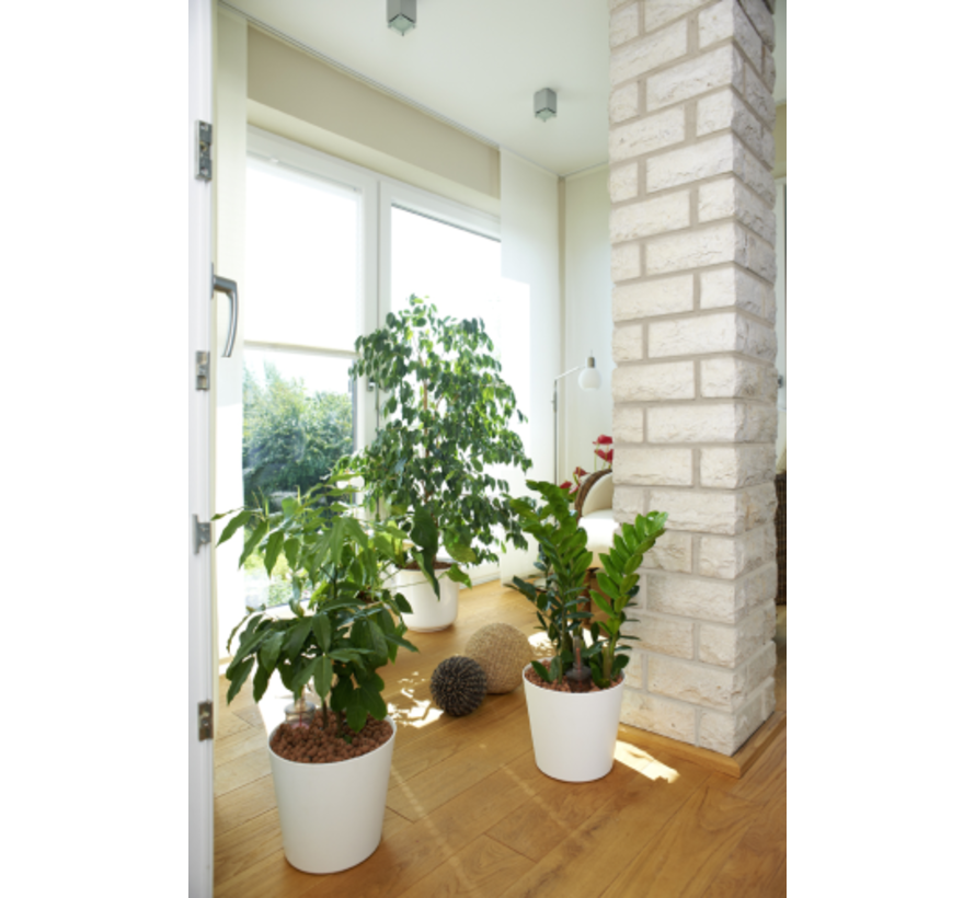 Liaflor - Hydrokorrels - 8 - 16 mm