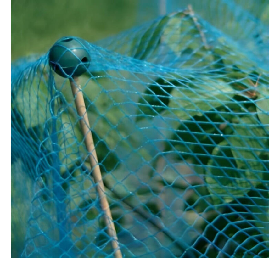 Vogelnet - Blauw