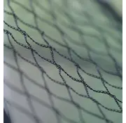 De Wiltfang Vogelnet per meter - Zwart - 4 meter breed