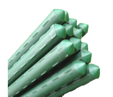 GardenSkill Plantenstokken - 120 cm - 16 mm - 5 stuks